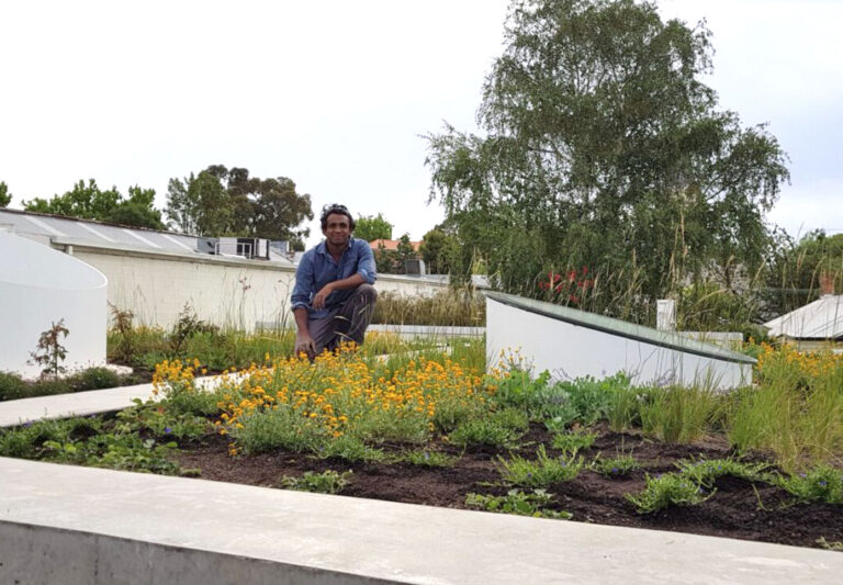 Ash - Ploterra - Roof Top Garden