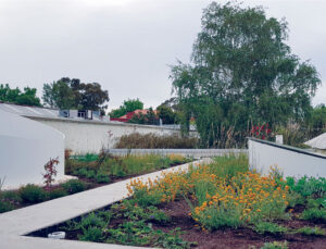 Rooftop Garden Project – Camberwell – Ploterra - Landscape Design and Construction