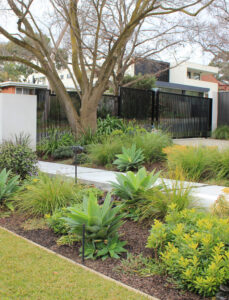 Entrance Landscape Project – Malvern – Ploterra - Landscape Design and Construction