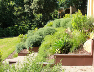 Rock Terraced Landscape Project – Warranwood – Ploterra - Landscape Design and Construction