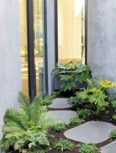 Kew Project - Ploterra - Landscape Design and Construction